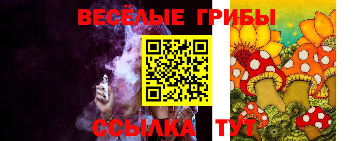 дарнет шоп  Псилоцибиновые грибы Cubensis  Вход с VPN  Подольск 