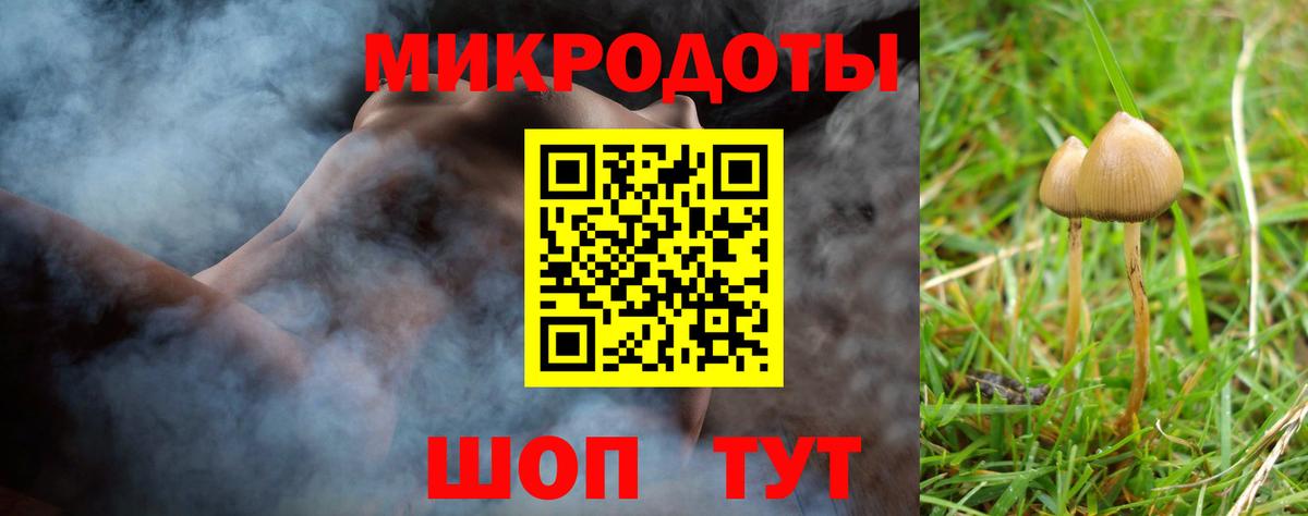 Псилоцибиновые грибы GOLDEN TEACHER Подольск
